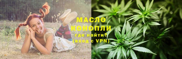 стаф Ельня